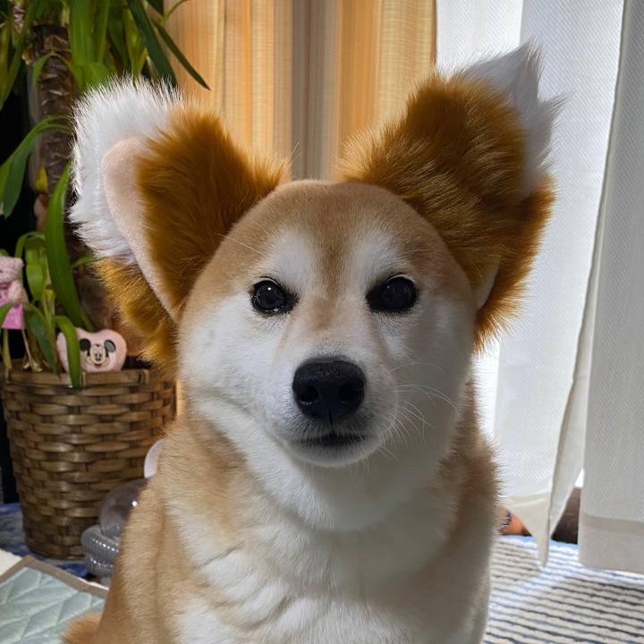 716315e0 1638 48b4 87ba f107ba04f667 1658414588490