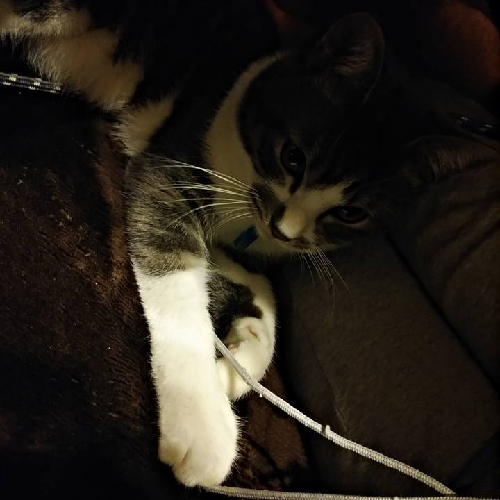 7163318d f6ef 4f13 a676 73a1bb782775 1581949016687