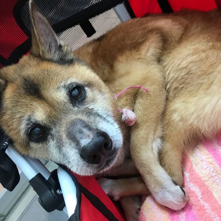 7163906e ae11 4fde ac50 8b3e6e705725 1552642204029