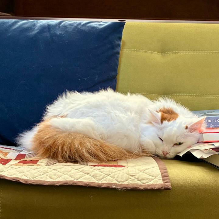 7163c061 ba3a 4de7 a5b8 10e91563e472 1764560241063