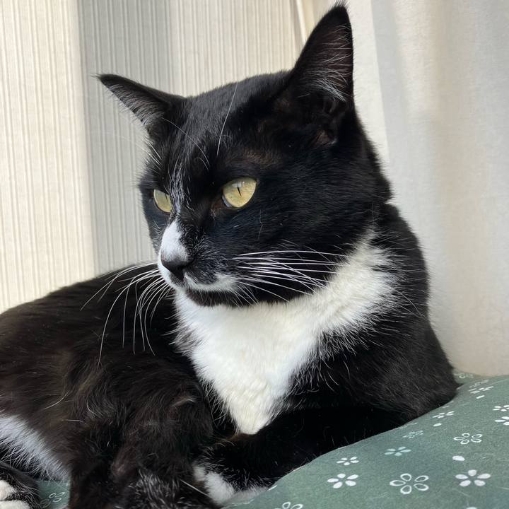 7163fa77 66ea 4312 b530 f49fa654d7cf 1702610885860