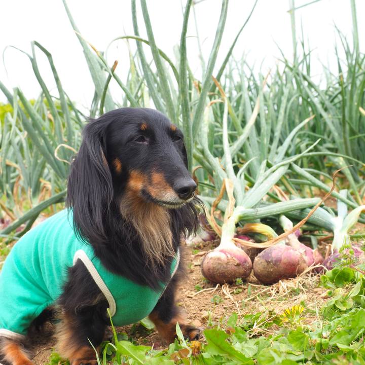 71647939 5c36 4b3f a3ca ef87bf7b5fe2 1652331919100