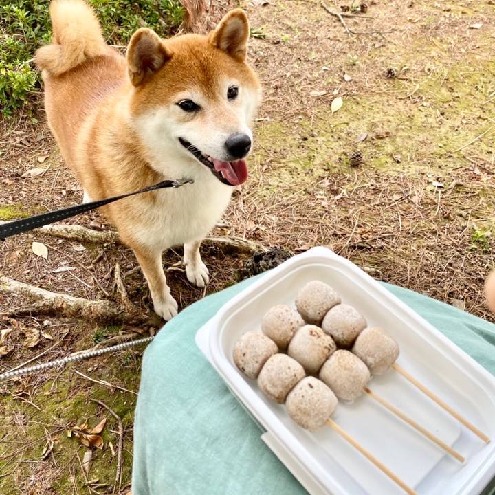 71647c8d ca18 463c a769 768b500ad9f6 1633850460851