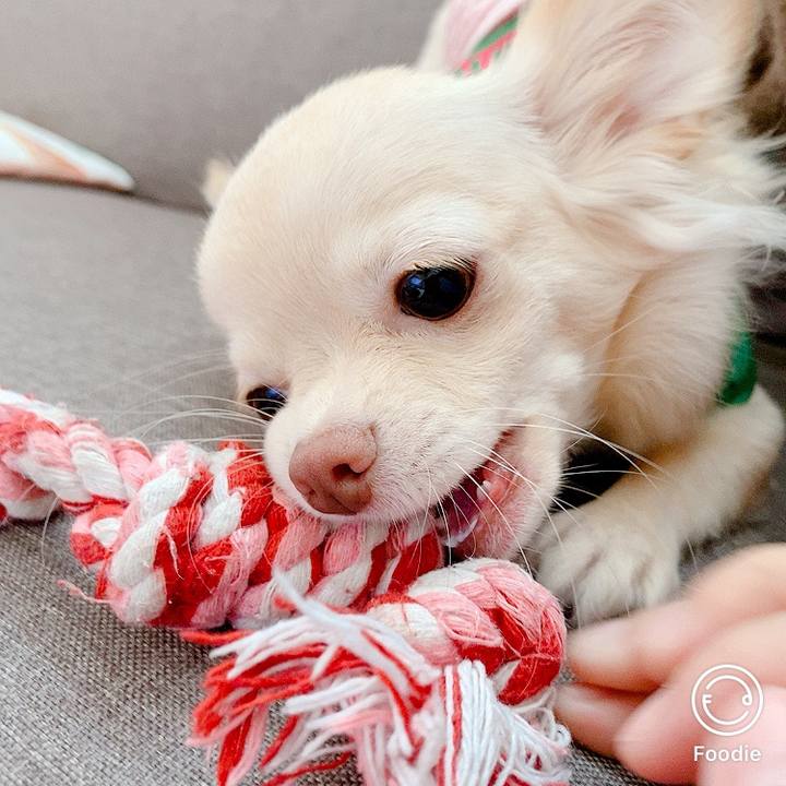 716480a8 b209 43ca b868 119114531b7c 1599013094065