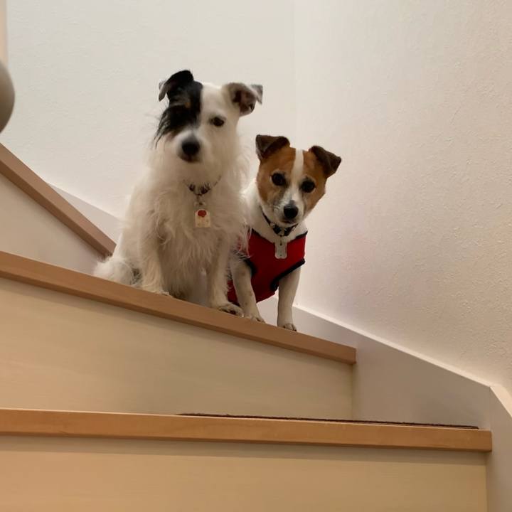 7164c695 1dd3 41ae a5e8 b9d1a3c127d2 1624931322443