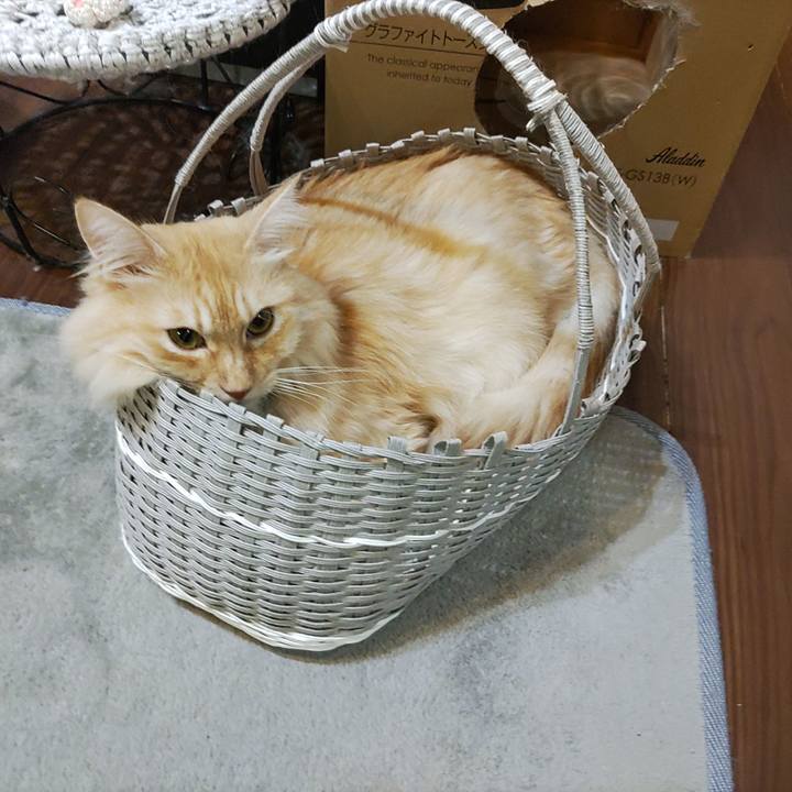 7164fbf1 d137 47fc 9396 d7db048c4305 1694958074113