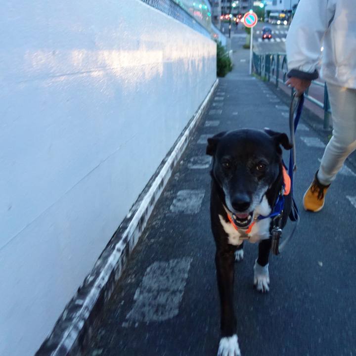 71651a21 0e4a 4733 9dff 55f2a18c21da 1746442011997