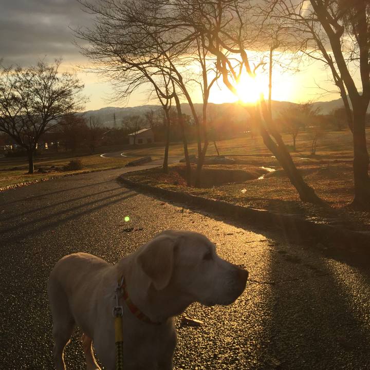 71652edd 8101 41b9 b95a 2737cc65cf5b 1512861891788