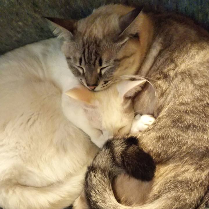 7165d2c3 c1d3 4653 9a92 03ec473b1109 1548590705256