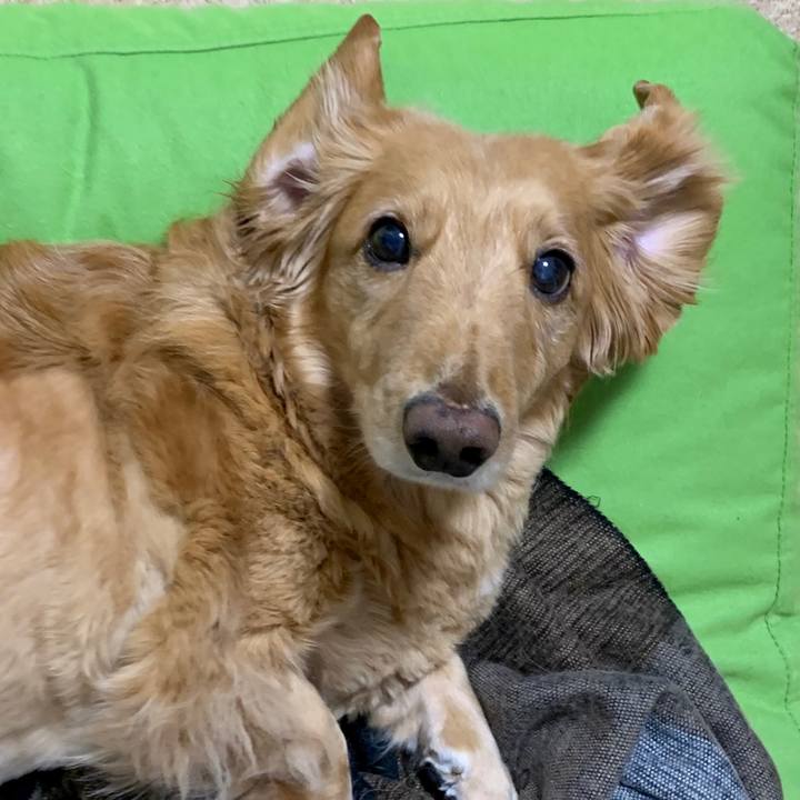 7165f9af 8499 453d 889e f7a3cdfe2fd9 1580012344692