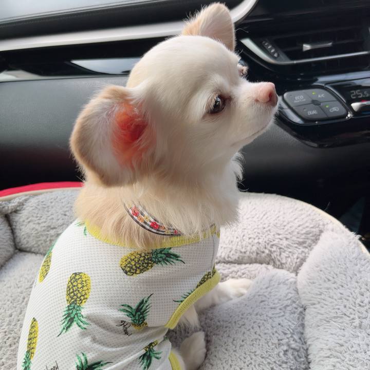 71661df4 3629 488b a0a6 b28a06b66406 1725708906696