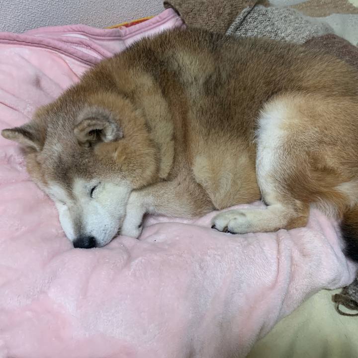 7166722e be06 4fdc a06f f9029b6f6155 1673911058590