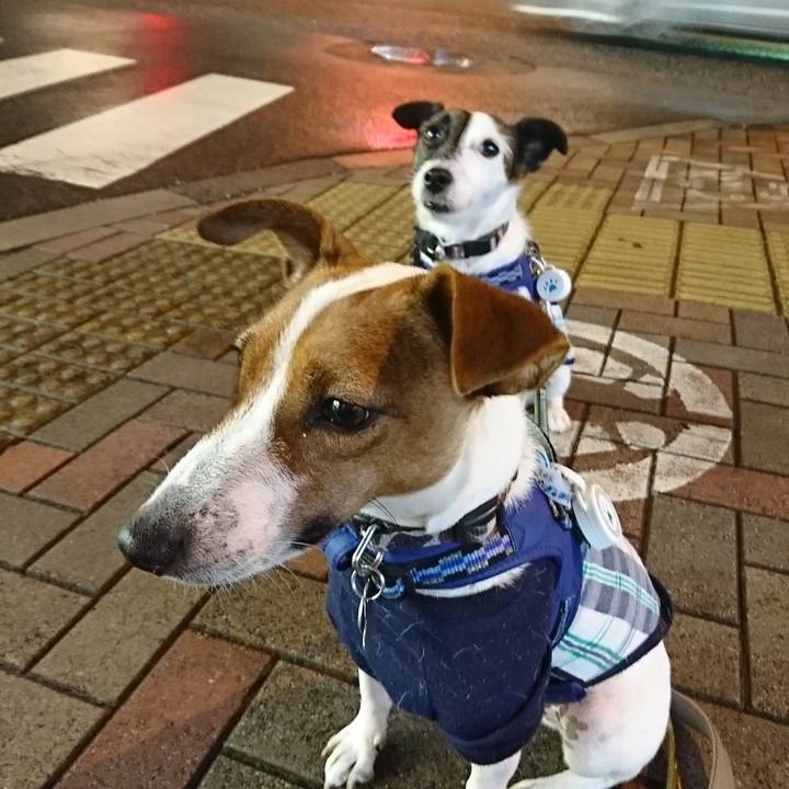 71670427 2557 4aee 9cad 500d5af3f1b2 1537268669209