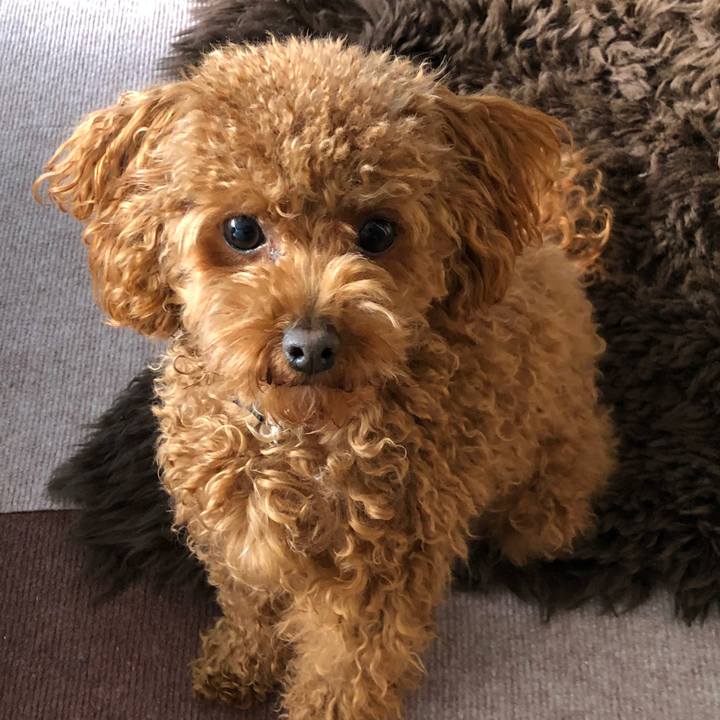 71670a63 e627 4894 aecb 64a682f5de27 1518952009274