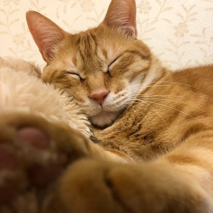 71671c2b 1cb4 45e9 aa4c e93c646cc989 1573222875134