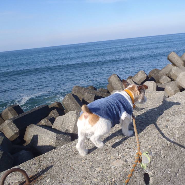 7167446c adf3 48ba b845 2ce7bdd66540 1550820009588