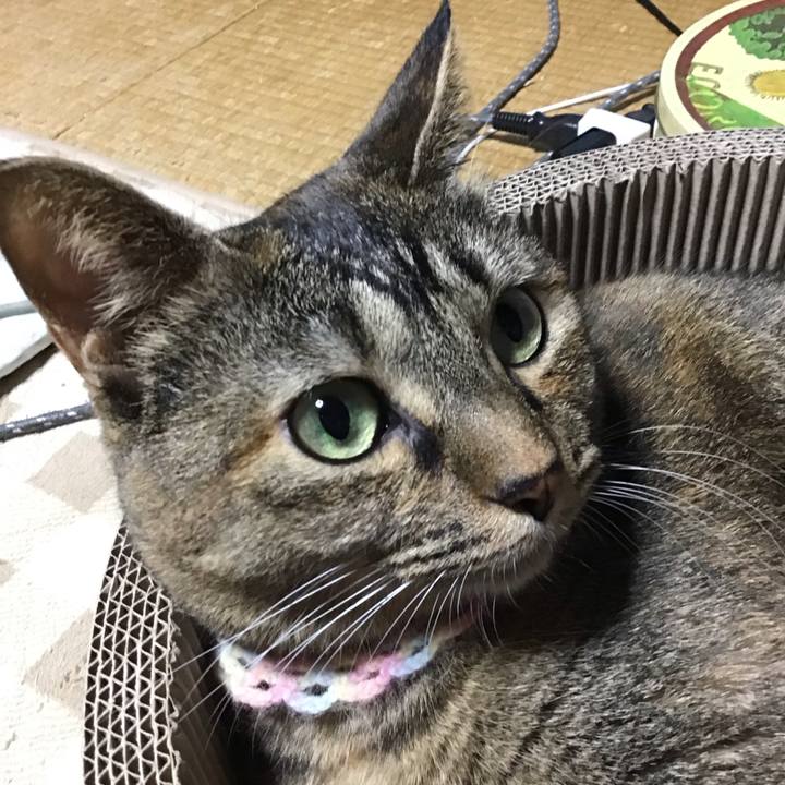 7167685b a353 4b28 bc3e 2c8db4e548fa 1699620360424