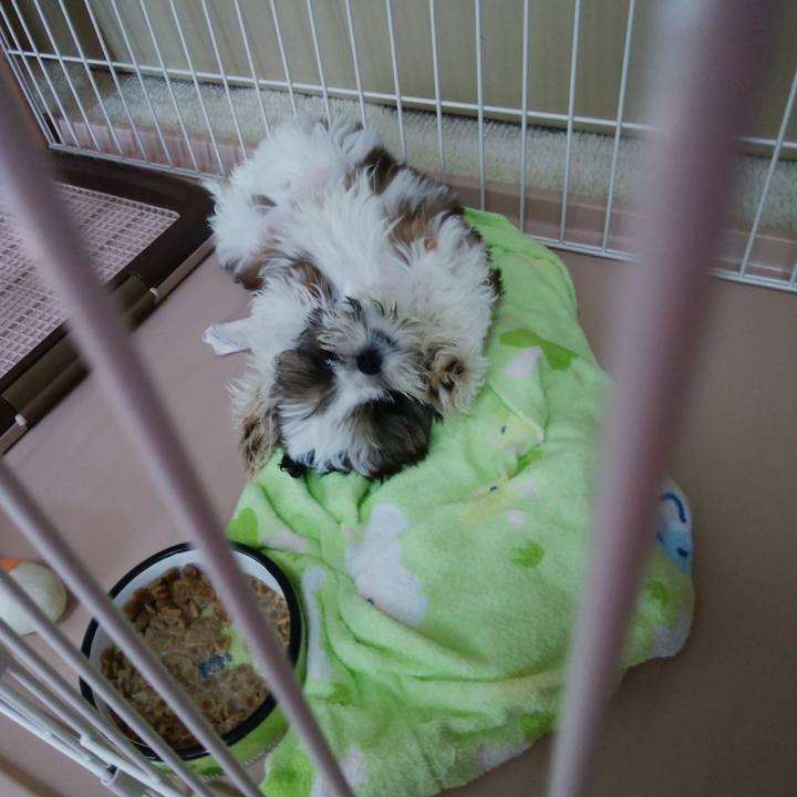 716768cd 729b 4ea5 a24f f91331e53ac6 1532817681761