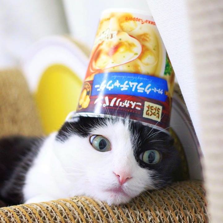 71677315 602d 438d 918e 7be7ae22c893 1570192166470