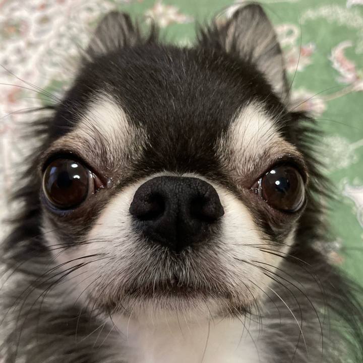 716792e1 9130 42f1 bebe c94a0ca1f9f0 1669156569355