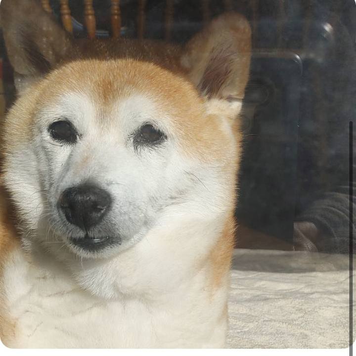 7167cd1f c8ef 4f70 9bd0 048e39ec603a 1642319739044