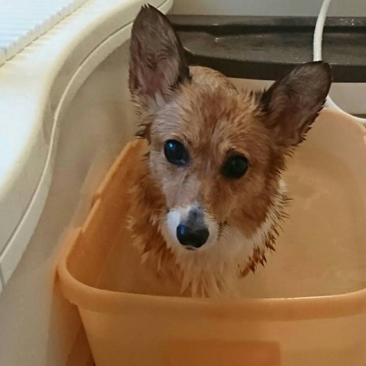 7167d040 29f8 4462 abbc deef66feb668 1549875697149