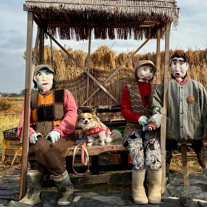 7167eb0e 615f 4f65 b2cc c204a245b349 1763875573456