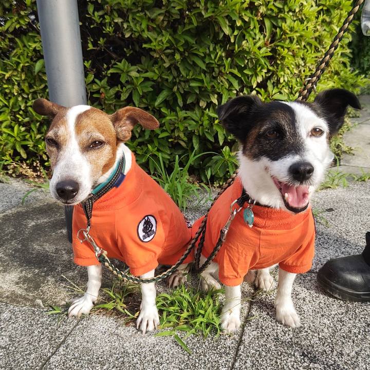 716819df cbf8 43e3 a63d 22928ad44b08 1751233836323