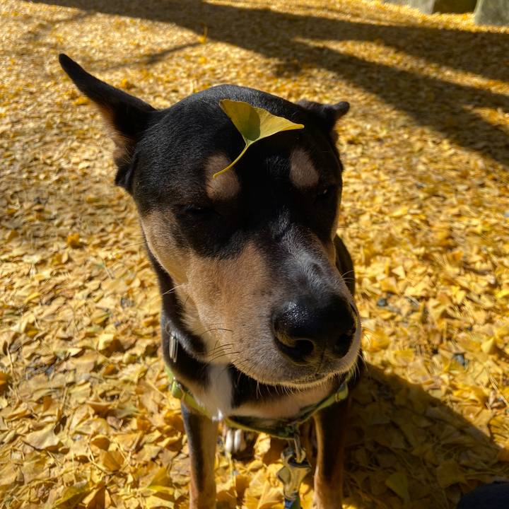 716832e1 7ba1 4987 b6e1 1f85e65fab2c 1638188216627