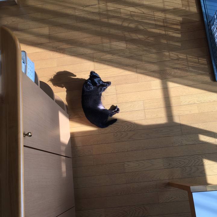 71684bf0 1620 4ba5 acc9 bd0b2bf98dc0 1529621352929