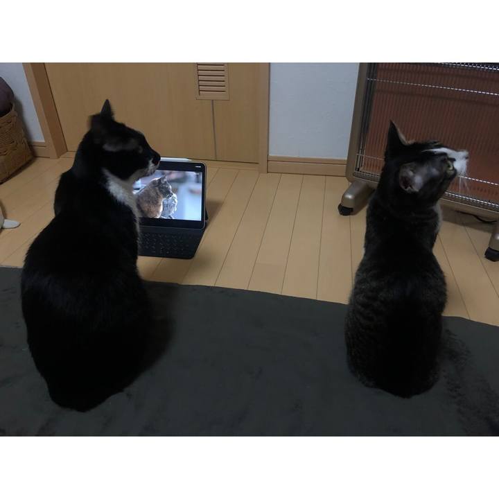 716855ce 1c01 4ac8 9d2f 9b9055dfa263 1612302040521