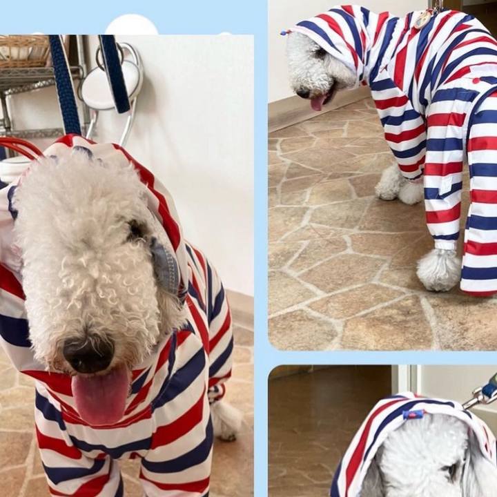 71686c6d 717b 49ed 8512 2c31b2663065 1685542671337