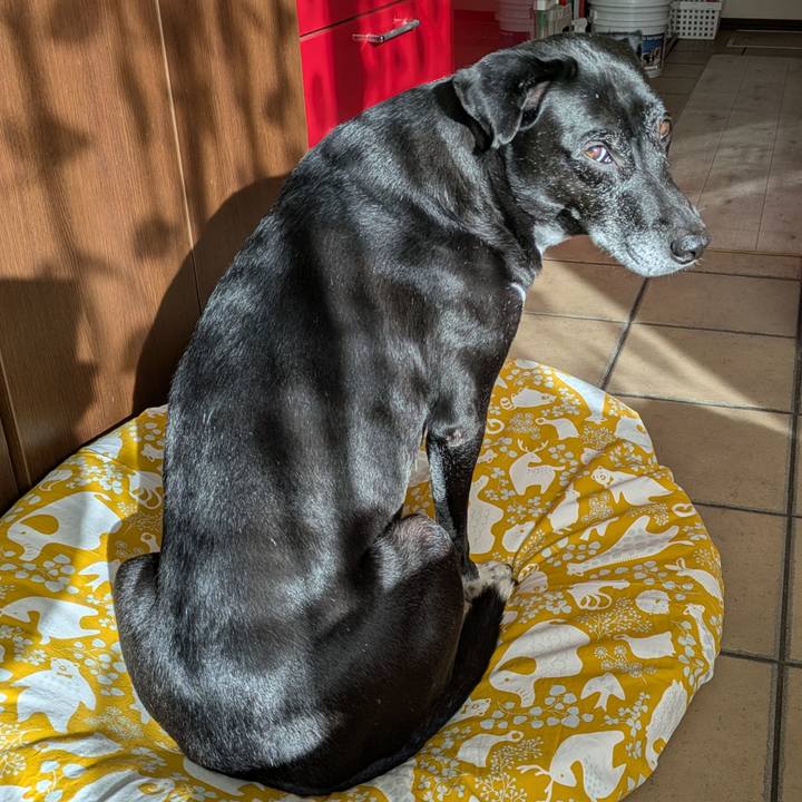 716873f1 c8d8 4e65 b304 b1ffe60748c9 1734482698459