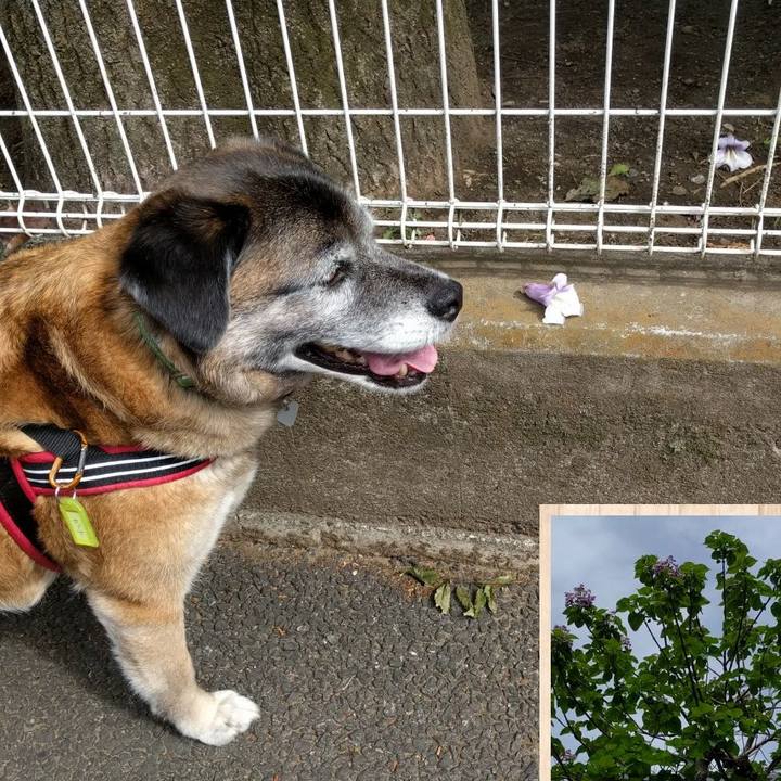 7168b755 3df0 4638 9ed0 19bf323562ba 1524794862377