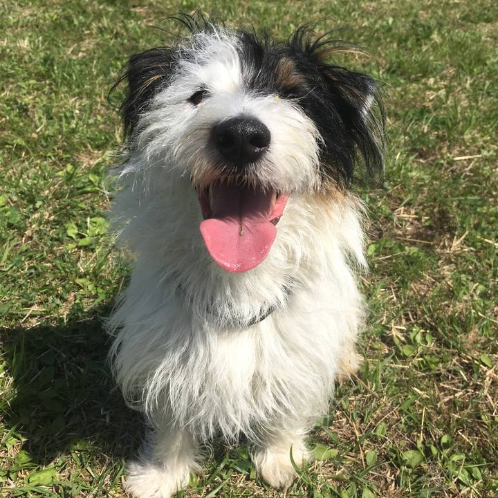 7168cf41 37dc 430c bf99 1598abcb1d36 1523225878072