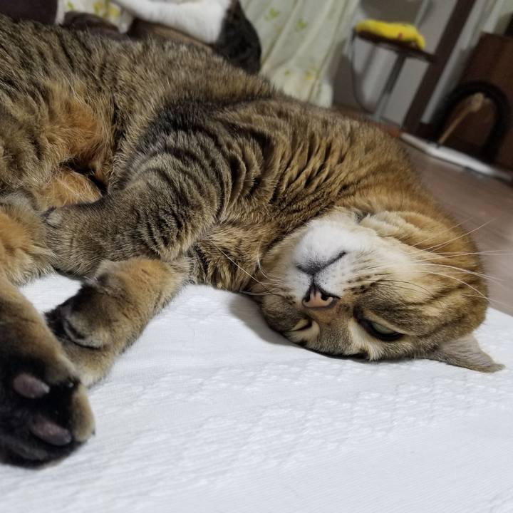 7168d96b 6557 4e70 b6b5 5ab414003a60 1614603202763