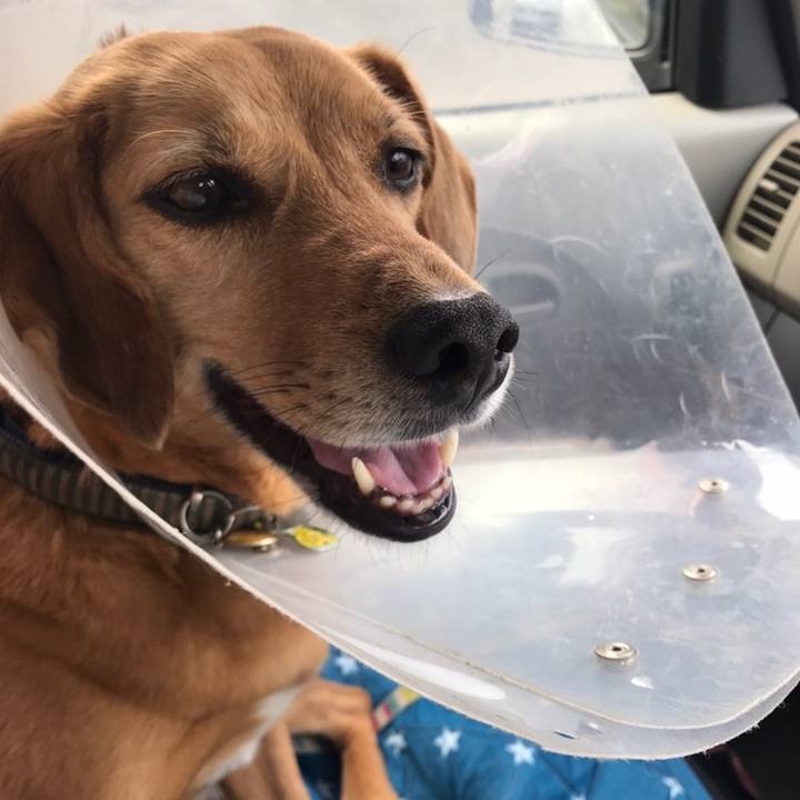 7168e5c3 7569 4be8 bac1 2ddbf843a13a 1558246679297