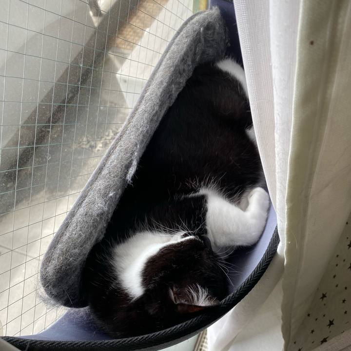 7168fc45 46bd 4387 93d3 3ea92683e69d 1716443078799