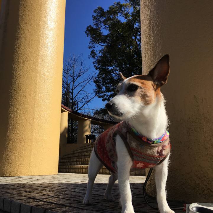 716921e4 862a 4e90 ada1 0cce43ca1cc6 1580602891739