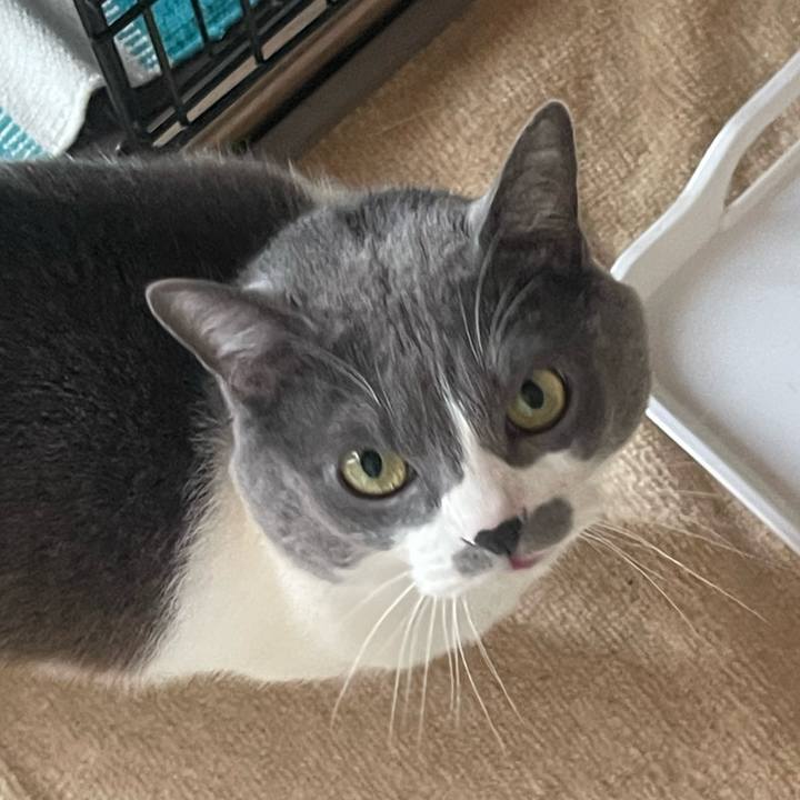 7169856d c1aa 490a b571 11934a6318df 1738457657275