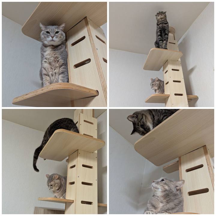 71699dd1 bed0 43a7 b717 85c04c1ef88c 1769609188746