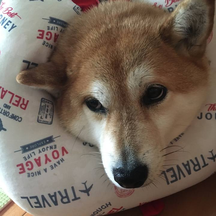 7169b6a6 a471 4914 95b7 9b3245ec6495 1592527975146