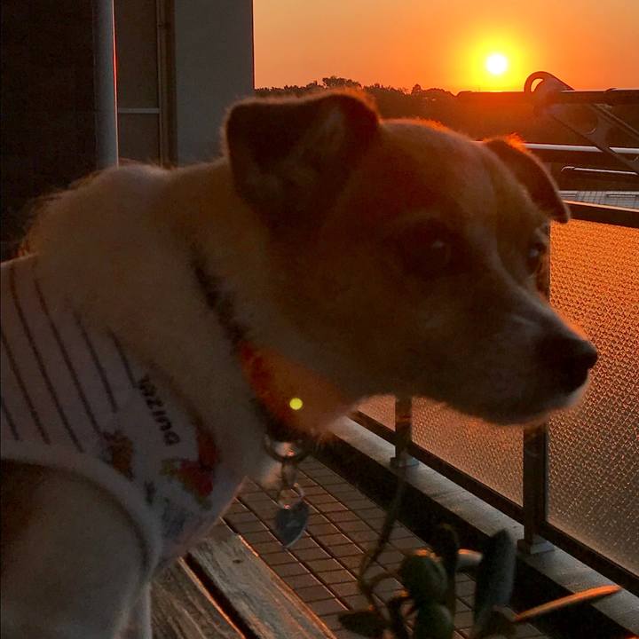 7169bb8a 38d4 4bb4 bca1 a1e65abc563a 1569532518153