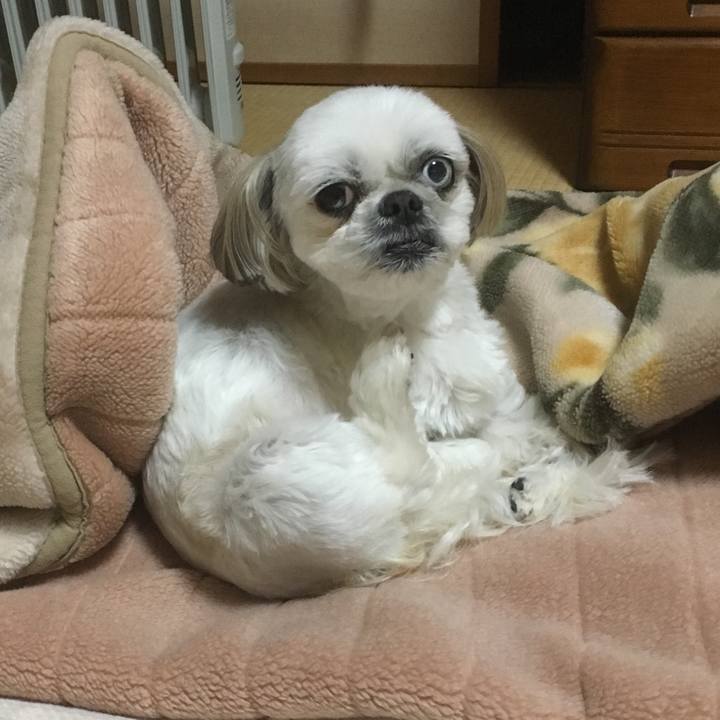 7169d55d 5a98 45b4 974d 78f0e42ffc36 1521621872489