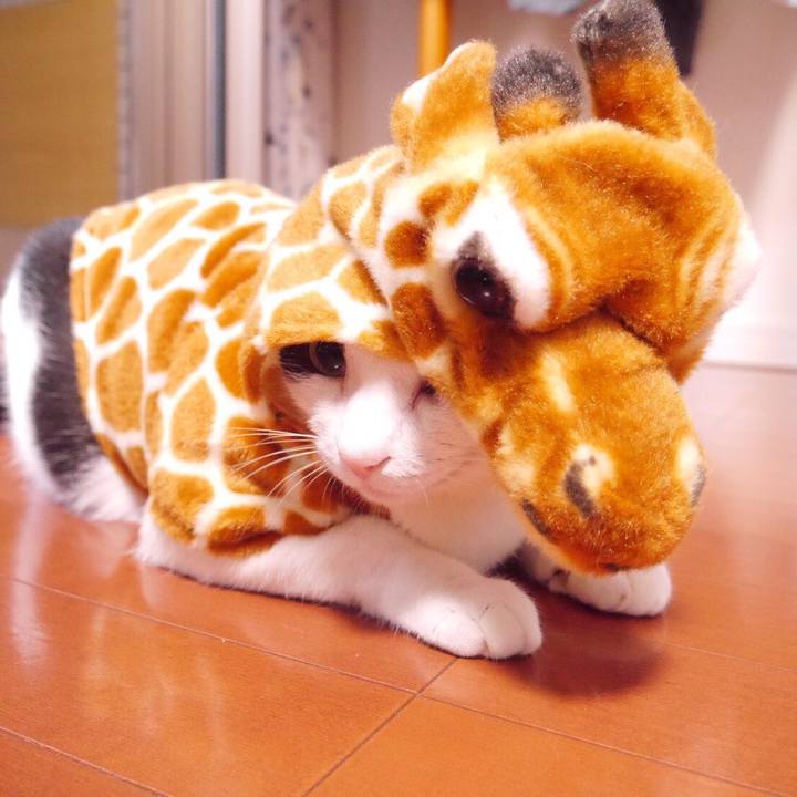 7169d828 30bc 4db5 ba7b 3f55c63be983 1515929137090