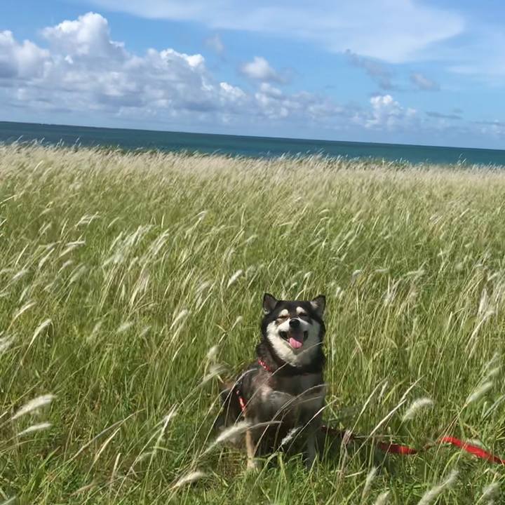 7169e8b2 1c5e 4bb0 a1cb e6dcb8e722bc 1626574035553