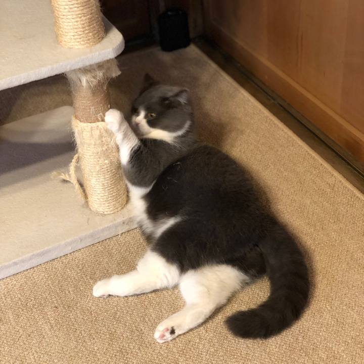 716a252e de40 4064 b74a 9c180c1dfab3 1555028170258