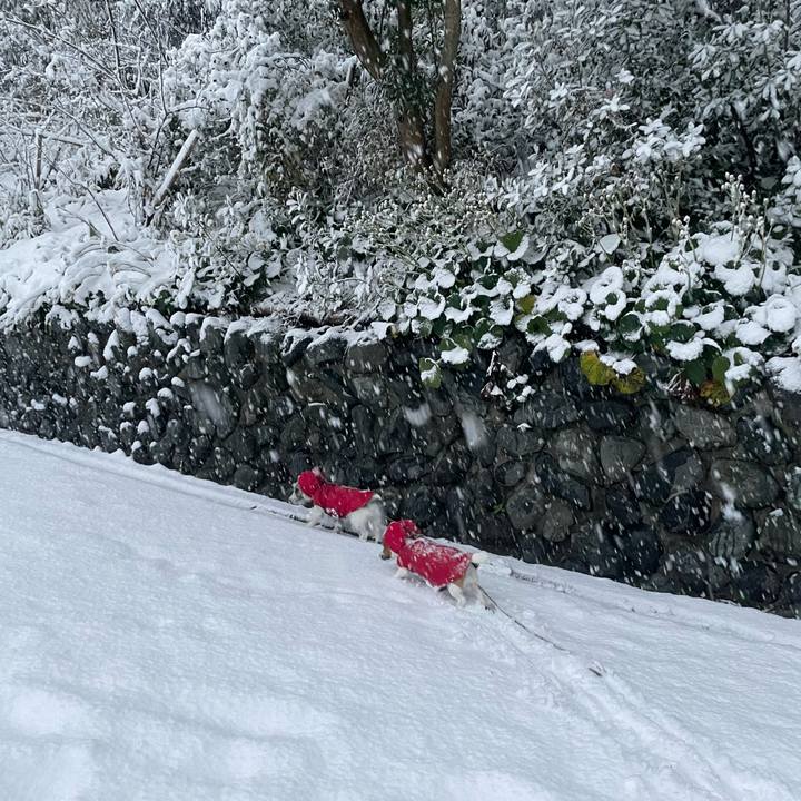 716a3c54 9a04 46d5 b6e8 315f118c2906 1703198514293