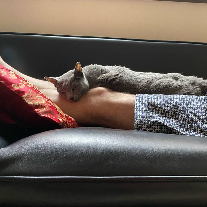 716a5f05 59d1 4b74 bd7e d95c04d98136 1624866384561