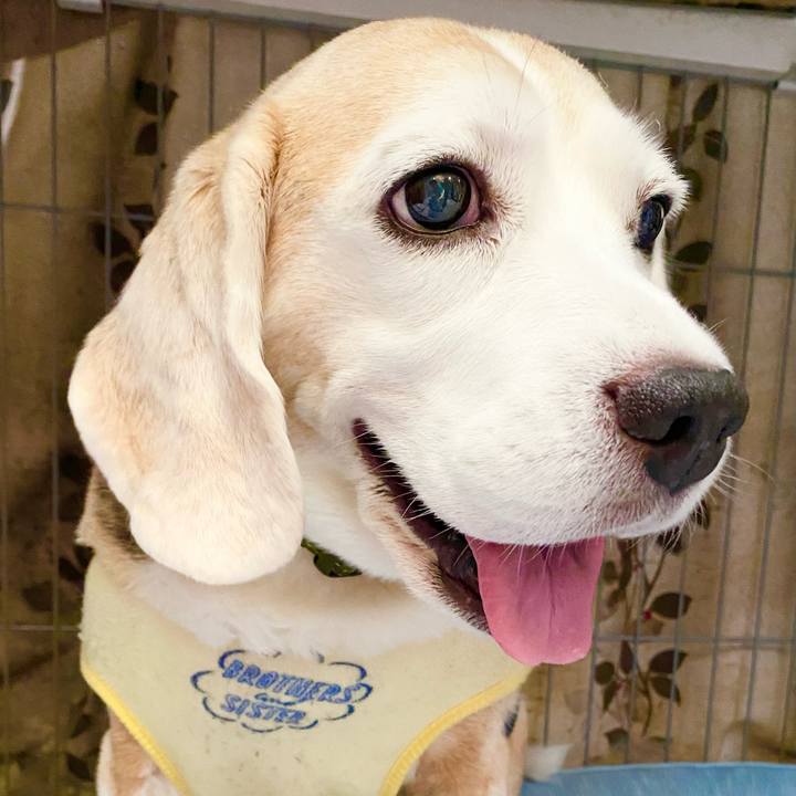 716a7661 707d 44c5 9de8 ffaa816b15d0 1660536118484